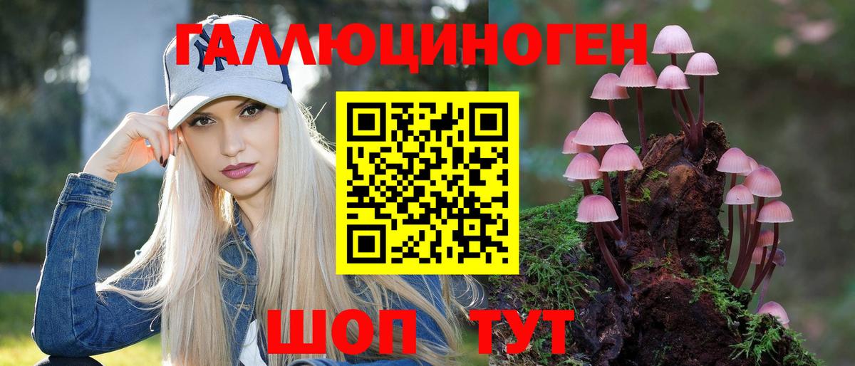 Галлюциногенные грибы мицелий Осинники